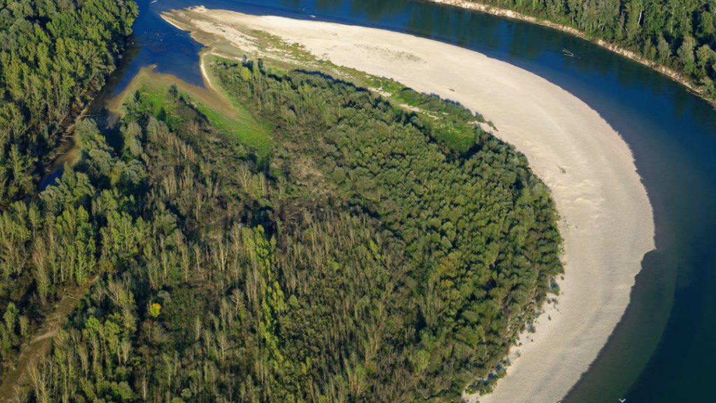 #drava #river #meander #aerial #pebble #forest #floodforest #drava #croatia #hungary