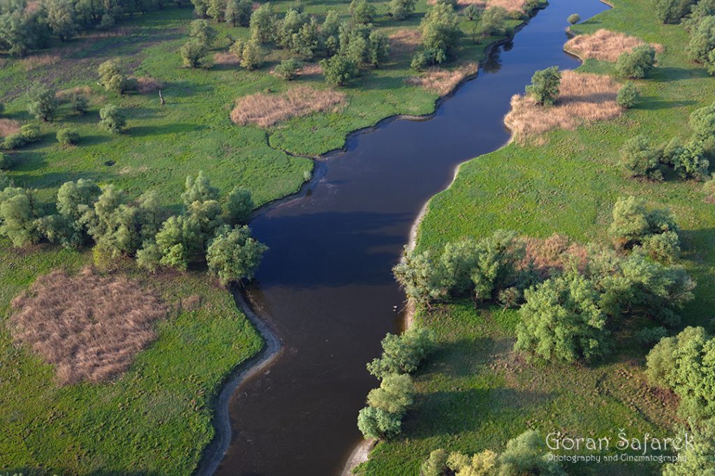 danube, floodplain,backwater, sidearm, sidebranch