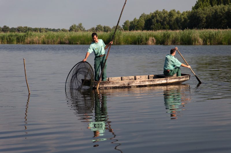 Traditional, fishing, Danube, oxbow, Hungary