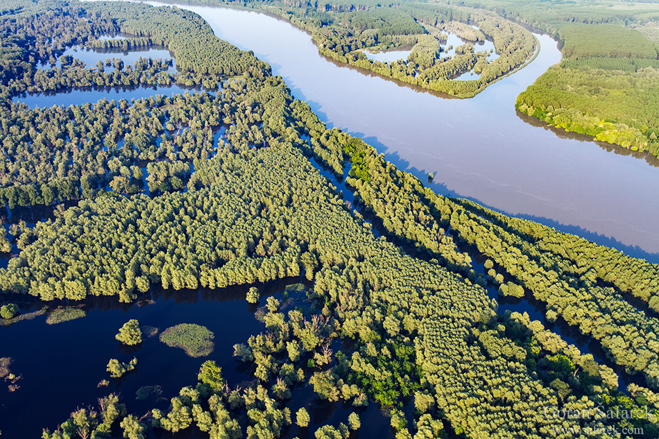 Middle Danube – heart of the European wilderness