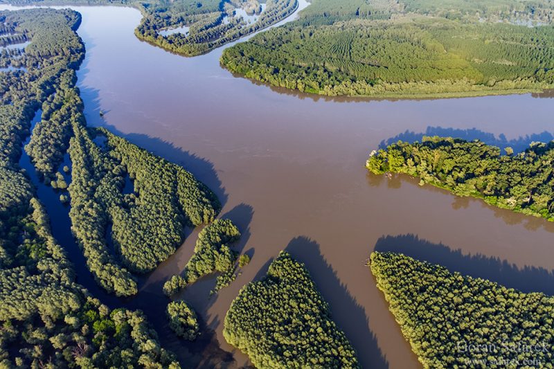 danube, croatia, kopački rit