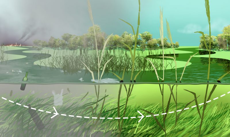 Why are wetlands important to maintain good water quality in rivers?