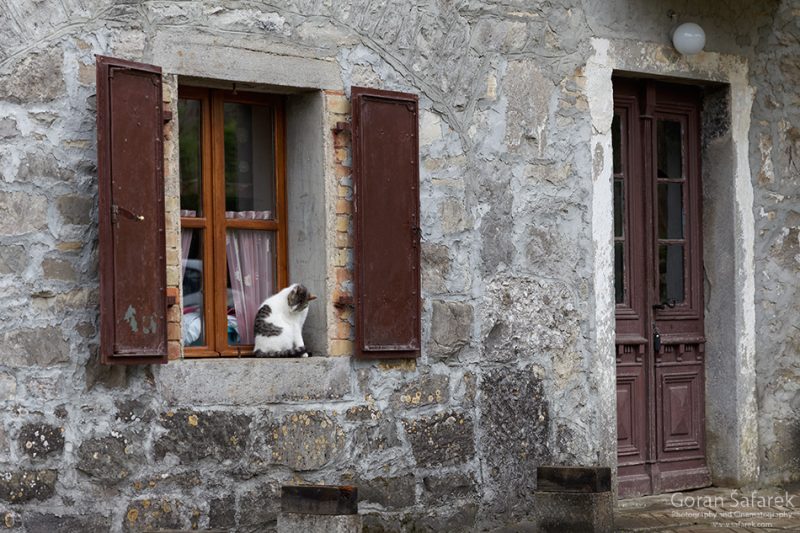 croatia, kotli, river,house, village, cat, window