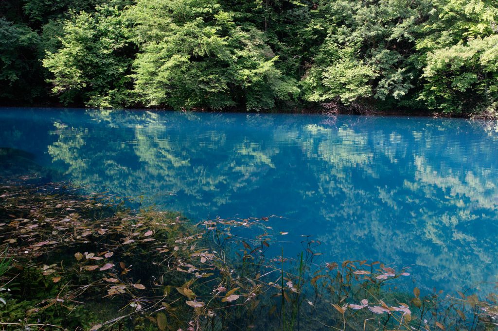 river, source, slunjčica, karst, croatia