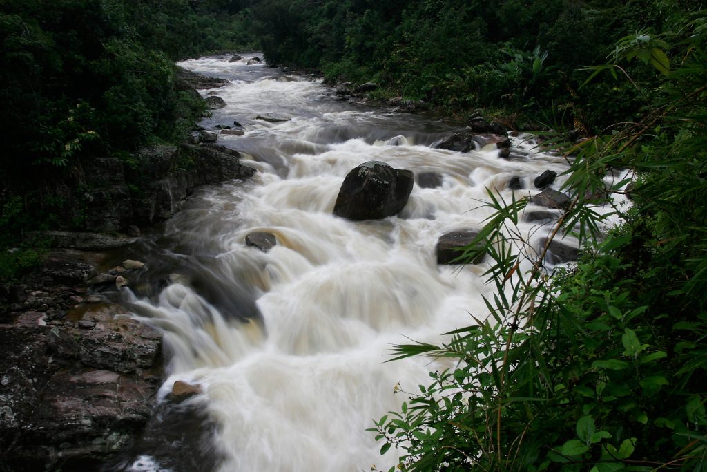 madagascar, šafarek, ranomafana, rivers, national parks, ranomena, jungle, rainforest, namorona, rapids