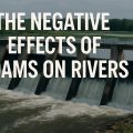 dams, hydropower, dams,negative effects of dams on rivers