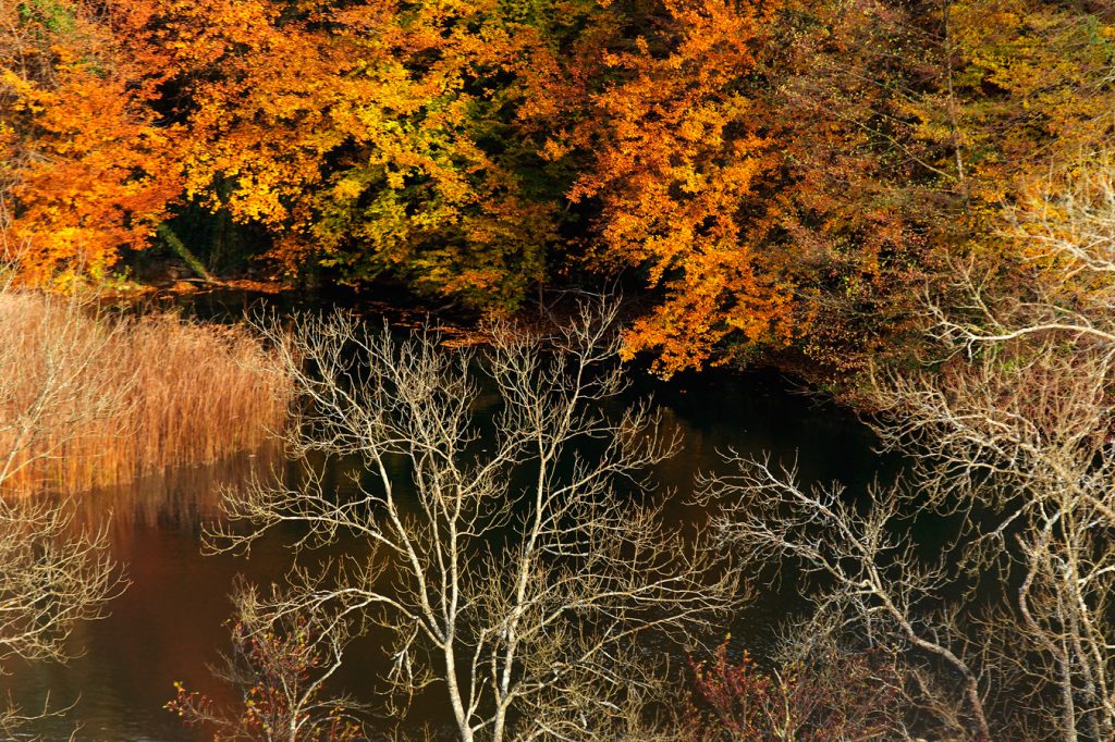 mrežnica, mreznica, rivers, autumn,fall, waterfall, canyon, croatia, hrvatska