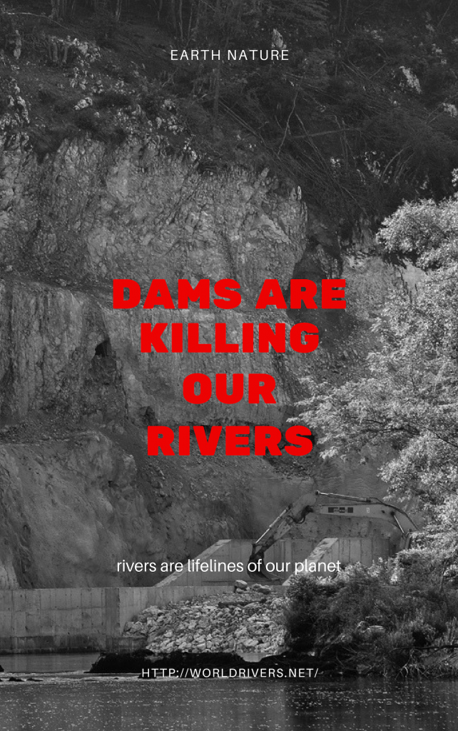 Dams are killing our rivers!