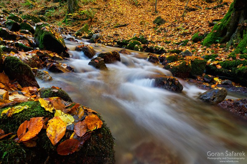 Rivers and streams A river and stream can be defined as. a natural