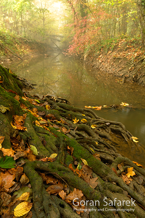 Difference Between Creek and Stream