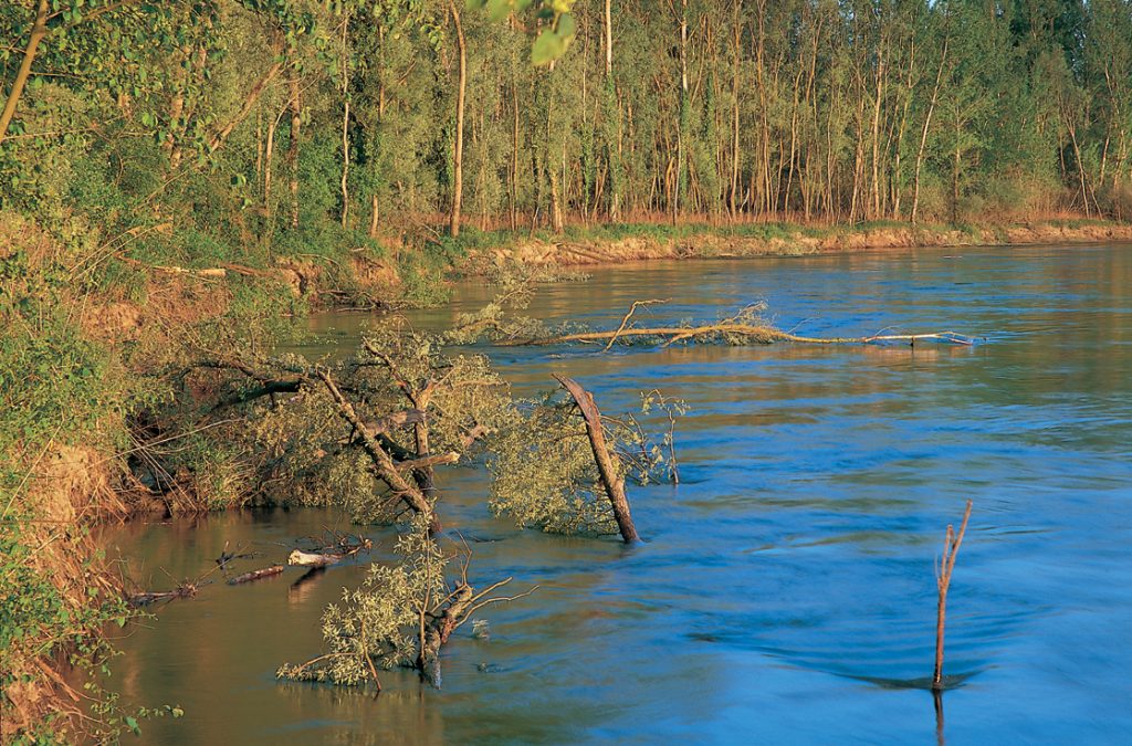 drava, river, erosion