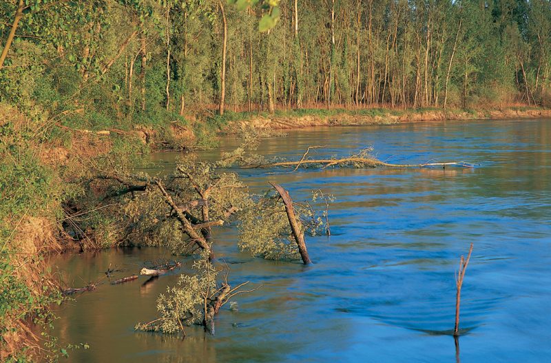 River erosion – creating force in the rivers