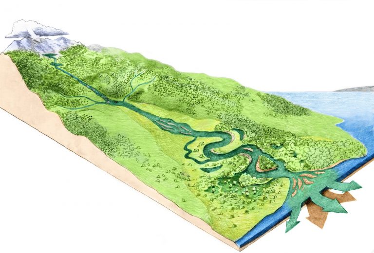 River morphology – how does river look like? - World Rivers