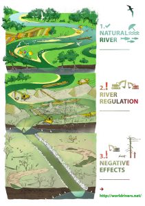 The adverse effects of the river regulation - World Rivers