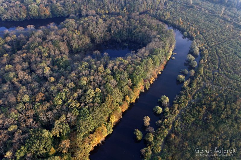 Side-branches and dead-branches (oxbow lakes)