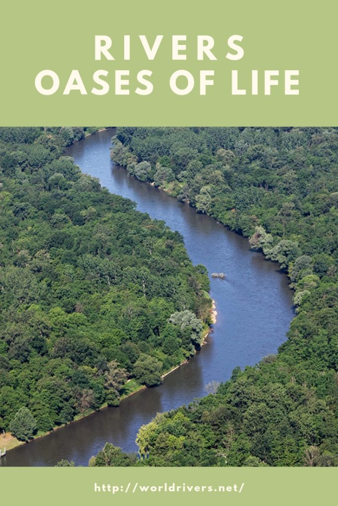 RIVERS – oases of life