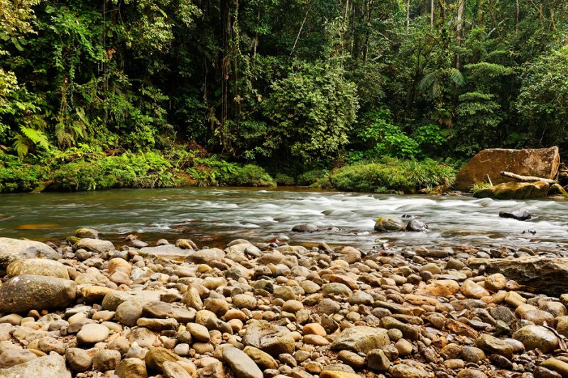 Zanja Arajuno, Andes, foothills, ecuador, rainforest, tropical, puyo, 