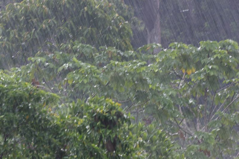 The Tiputini River, Yasuní National Park, ecuador jungle, rainforest, oriente, tropical, rain, downpour, shower