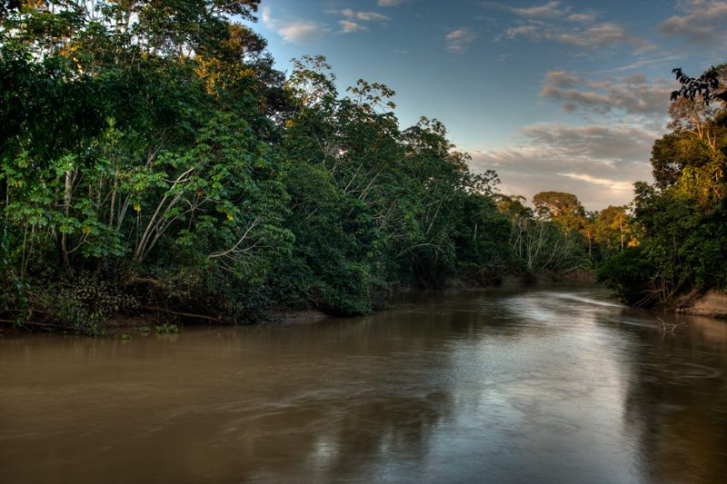 The Tiputini River in Yasuní National Park