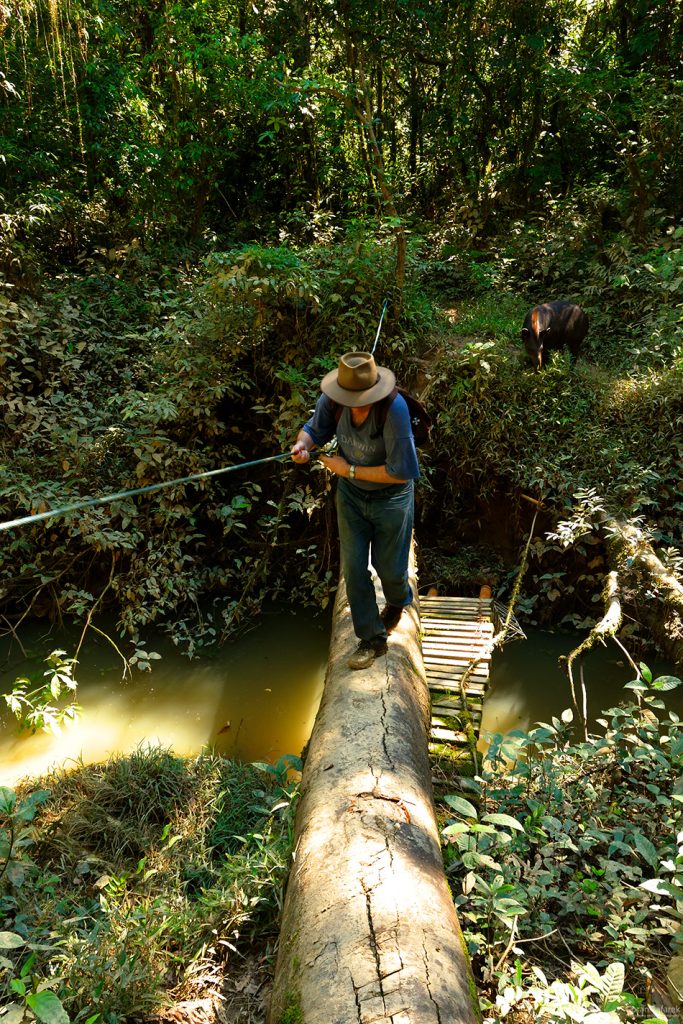 The Tiputini River, Yasuní National Park, ecuador jungle, rainforest, oriente, tropical, stream