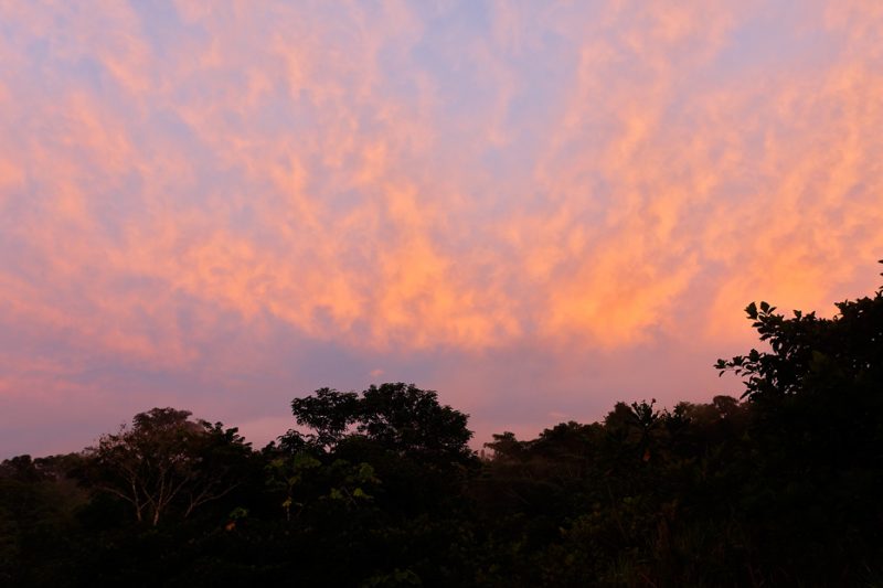 The Tiputini River, Yasuní National Park, ecuador jungle, rainforest, oriente, tropical, sunset