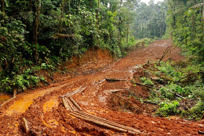 road, deforestation, Zanja Arajuno, Andes, foothills, ecuador, rainforest, tropical, puyo, 