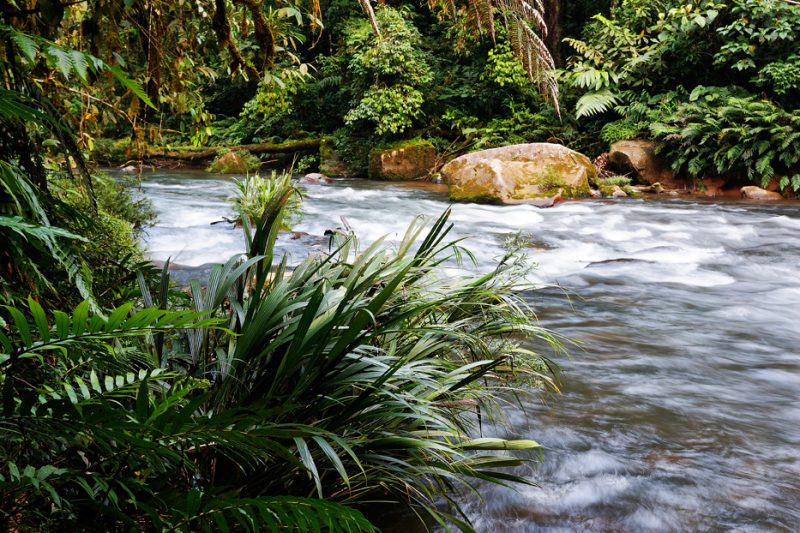 Zanja Arajuno, Andes, foothills, ecuador, rainforest, tropical, puyo, rapids