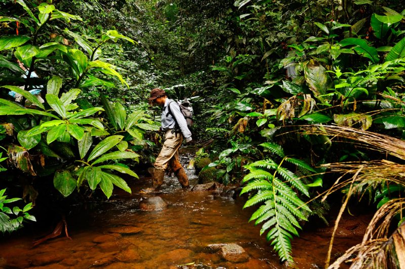 Zanja Arajuno, Andes, foothills, ecuador, rainforest, tropical, puyo, biologist, exploration, research