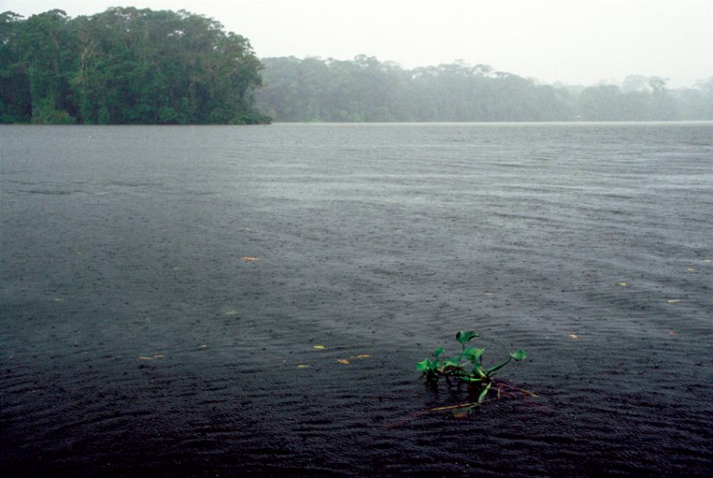 Tortuguero , costa rica, rain, downpour