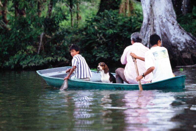 Tortuguero , costa rica, 