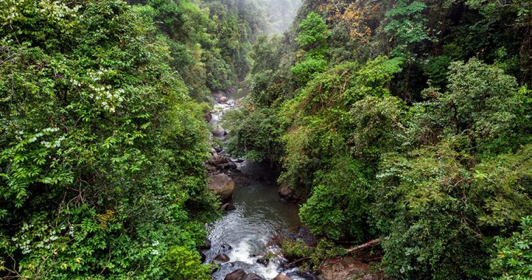 Khao Sok National Park and the Sok River