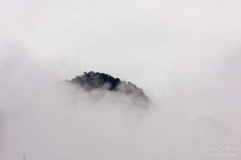 Khao sok, national park, asia, thailand, jungle, rainforest, tropical, rain, fog, mist, trees