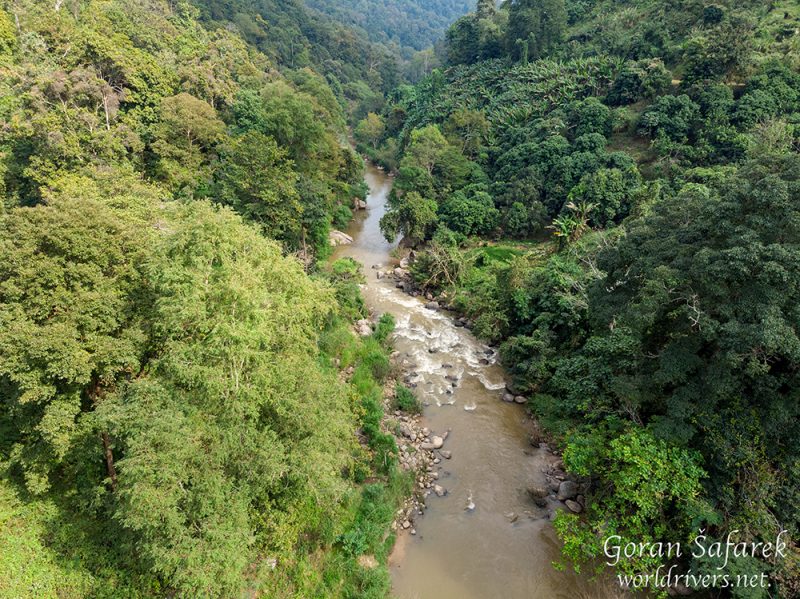 chiang mai, thailand, rafting, river, jungle, adventure