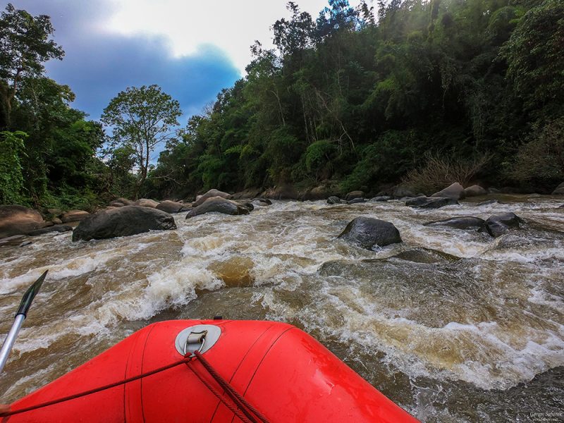 chiang mai, thailand, rafting, river, jungle, adventure