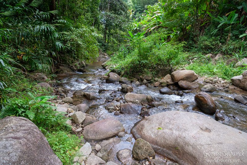 chiang mai, thailand, rafting, river, jungle, adventure