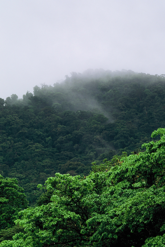 Masoala – where jungle stream meets the sea - World Rivers