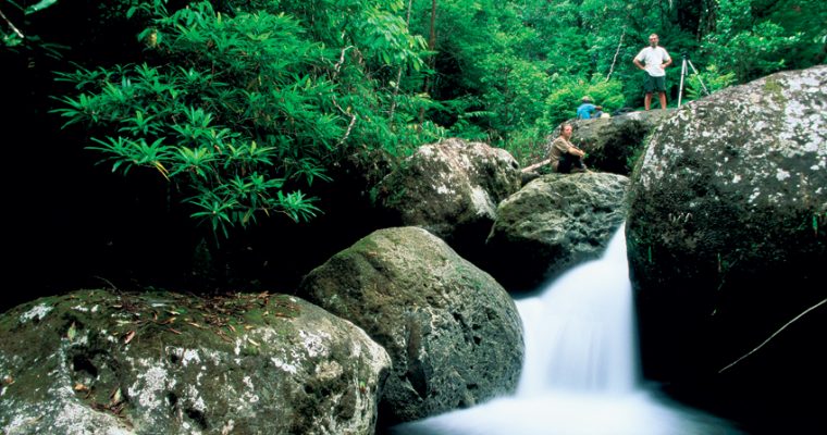 Masoala – where jungle stream meets the sea