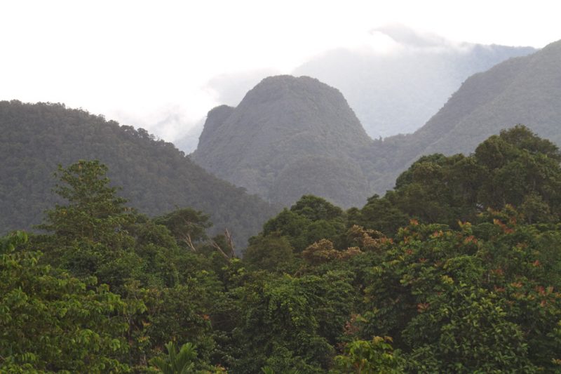 Mulu National Park, Borneo, Malaysia, rainforest, jungle, rain, downpour