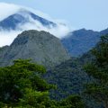 Mulu, Borneo, jungle, Malaysia