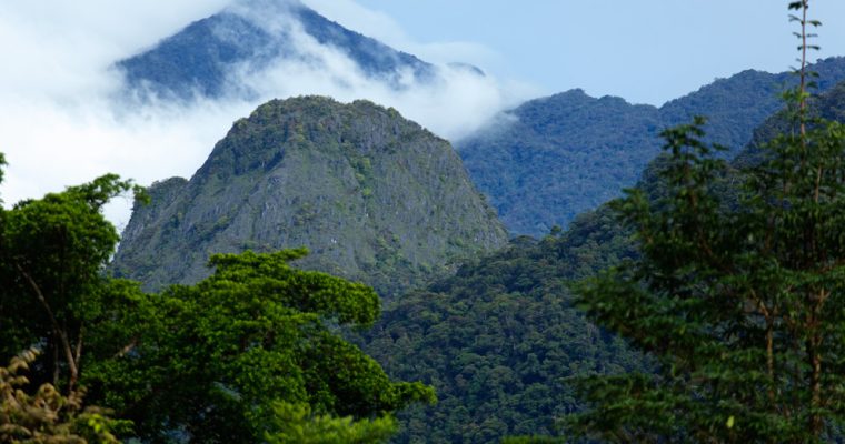 Majestic Mulu: Unveiling the Enchanting Wonders of Malaysia’s National Park