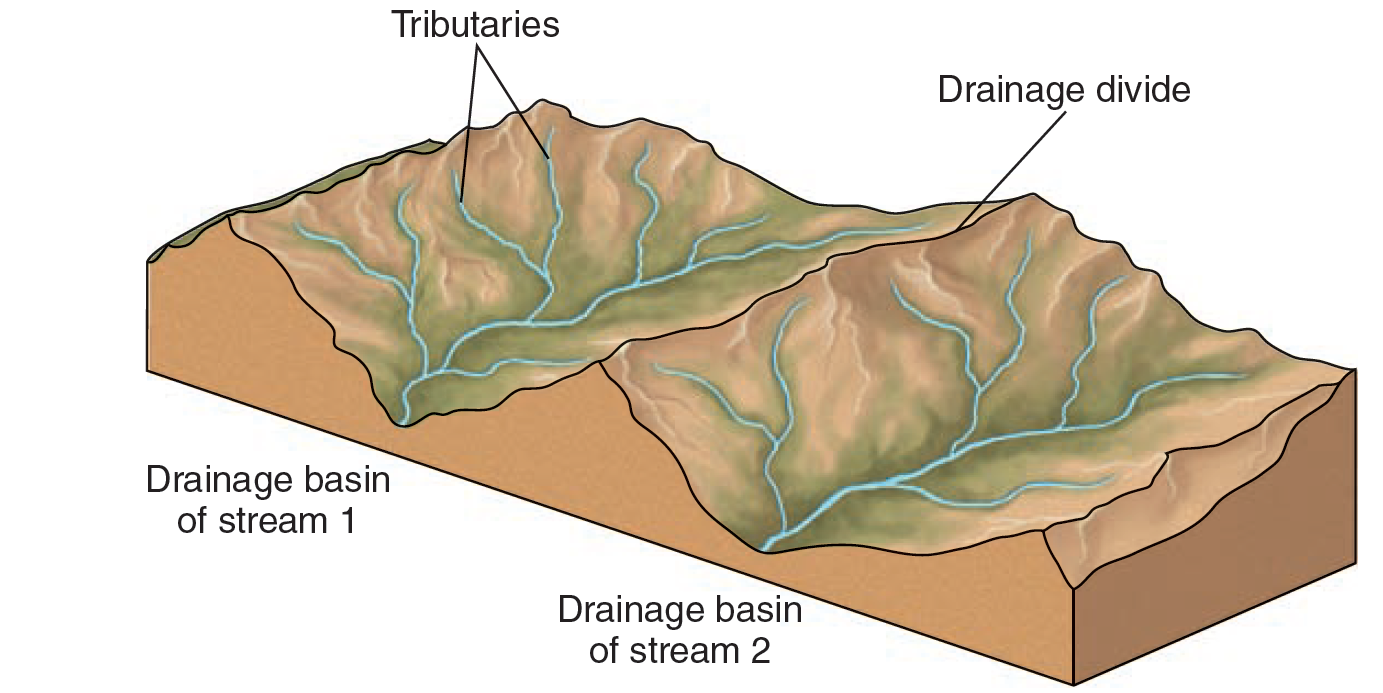 DRAINAGE BASINS World Rivers basin-airjet