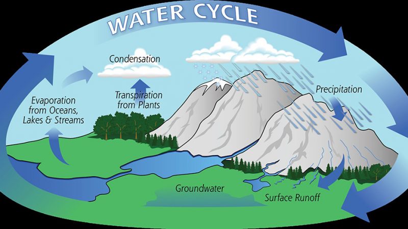 THE HYDROLOGIC CYCLE