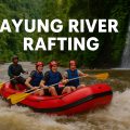 Ayung River Rafting