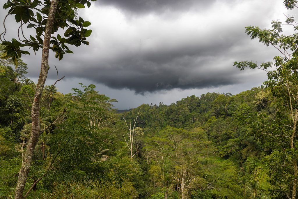 Leke Leke, bali, indonesia, waterfall, jungle, forest