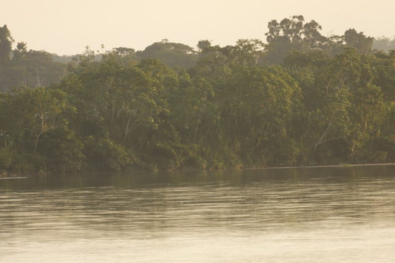amazon, river