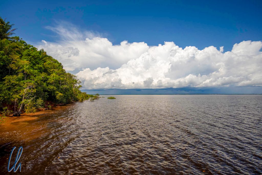 Rio Negro, river, color