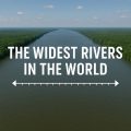 widets rivers, rivers