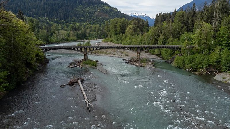 river restoration