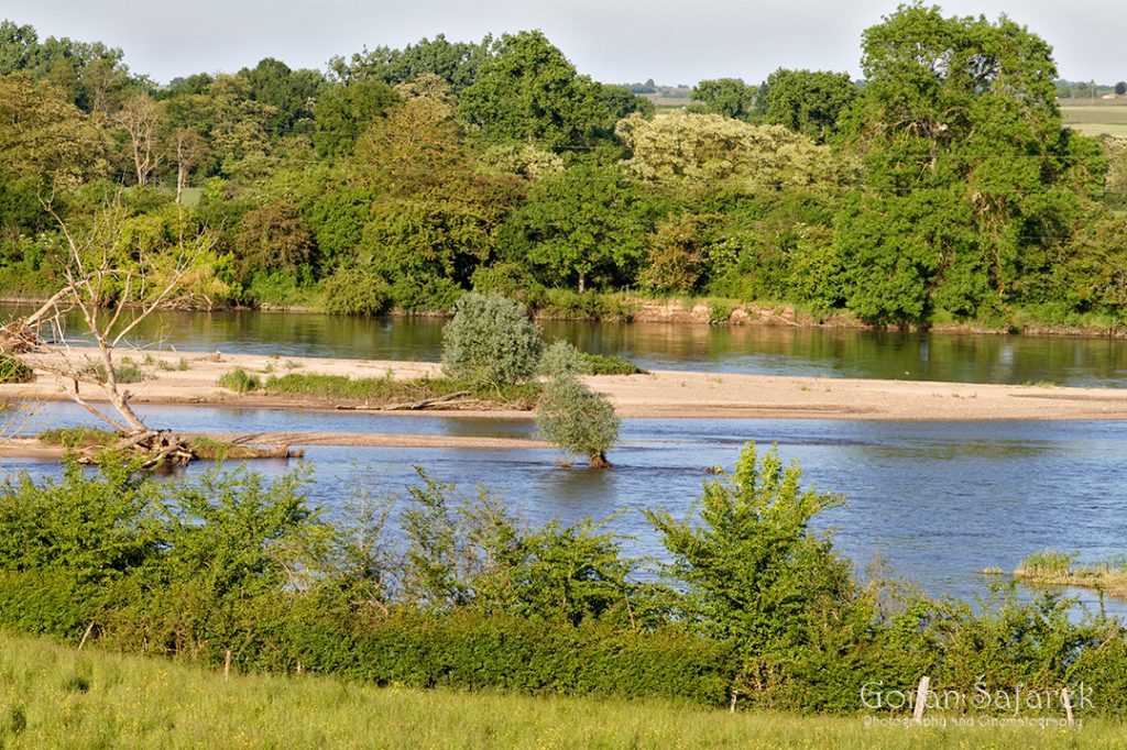 river restoration, allier