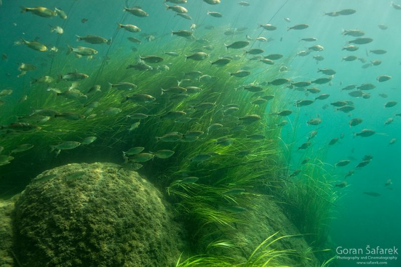 underwater river